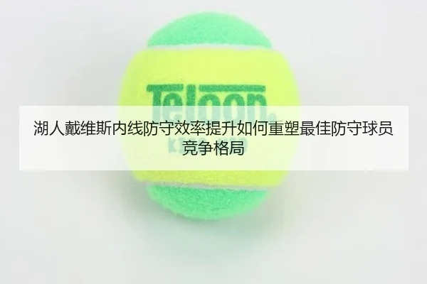 湖人戴维斯内线防守效率提升如何重塑最佳防守球员竞争格局